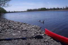 rideau-river-041